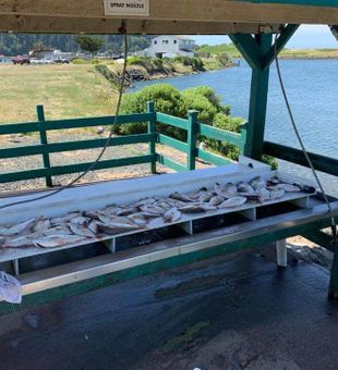 Charter Fishing Coos Bay, OR