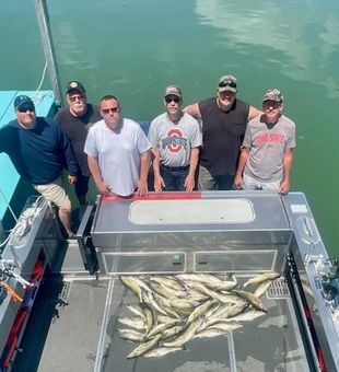 Bountiful Walleye Catch on Deck!