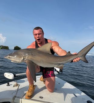 Bull shark caught in Riverview FL waters!