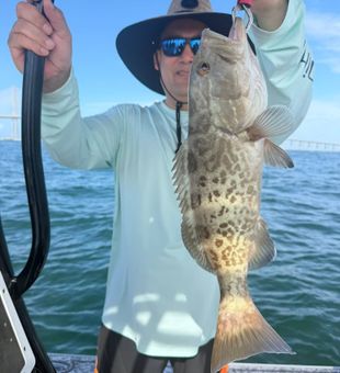 Nice gag grouper from Riverview FL waters!