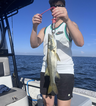 Snook-hunting success with the perfect bait cast in Riverview!