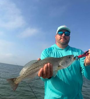 Speckled trout action heating up in Tampa, FL waters