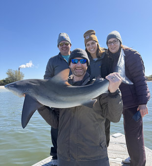 Impressive Tampa Bay sandbar shark brought to the dock!