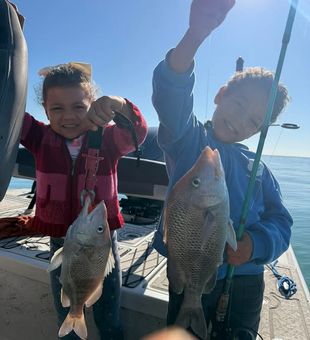 Casting the mangroves in Tampa, FL.