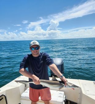 Florida fishing charter 🎣 Shark catch!