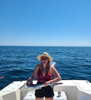 Florida fishing charter 🦈 Shark catch!