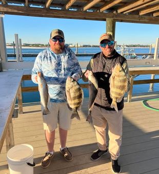 Family-friendly fishing charters in Orange Beach, Alabama for all skill levels.