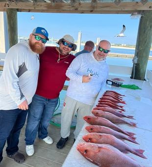 Snapper Stack! - Orange Beach, FL.