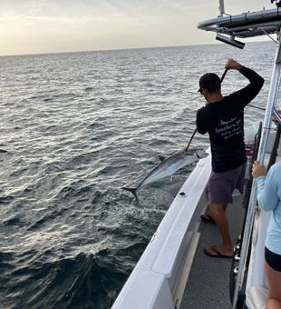 Inshore King mackerel perfect catch