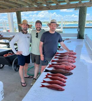 The pros took up on hot bites today.
