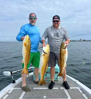 Pumpkins! - Orange Beach, FL.