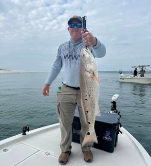 Orange Beach redfish making the day worthwhile!