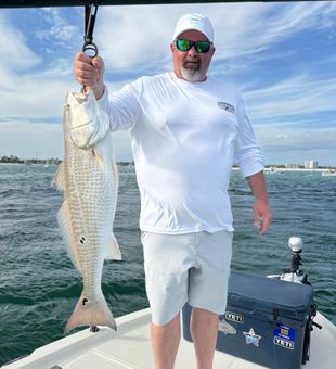 Orange Beach redfish making the day complete!