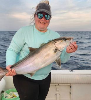 Solid amberjack catch on offshore fishing trip
