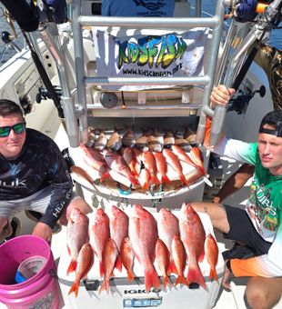 Reel in Gulf Coast adventure.