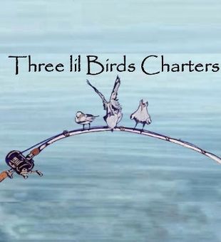 Three Lil Bird Charters