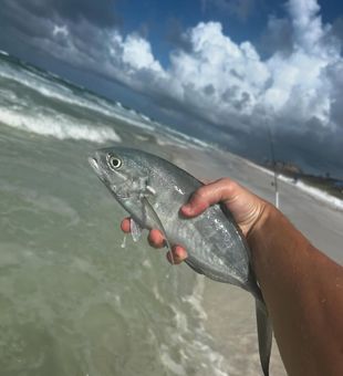 Santa Rosa Beach fishing vibes