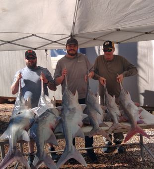 Successful paddlefish haul! 🎣🐟