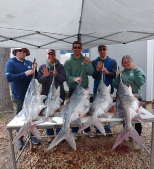 Big paddlefish haul! 🐟🎣