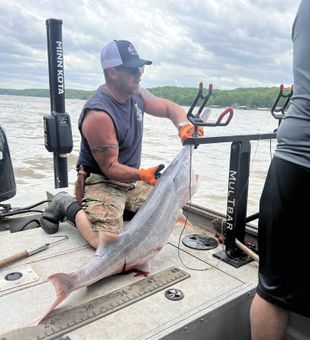Missouri paddlefish fishing offers anglers the perfect combination of action, beautiful scenery, and a truly one-of-a-kind fishing experience.
