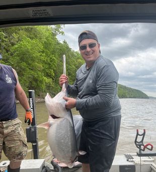 Book a guided paddlefish fishing trip in Missouri and enjoy an unforgettable day on the water pursuing one of North America's most fascinating fish species.