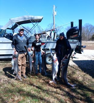 Snag, reel, repeat. Paddlefish style!