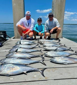 Gulf waters, local trophy fish