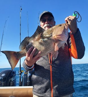 Hooked near the Sunshine Skyway