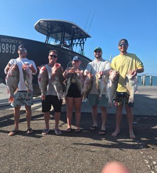 Fishing the Gulf side of St. Petersburg