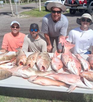 Big catches today on St. Petersburg waters.