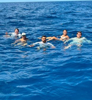 Taking a refreshing swim break in St. Petersburg waters!
