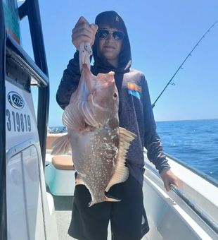 Book an offshore fishing charter in St. Petersburg and target hard-fighting saltwater species.