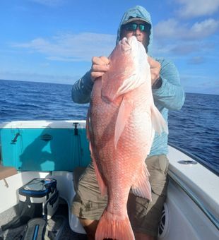 Beautiful red snapper from St. Petersburg waters!