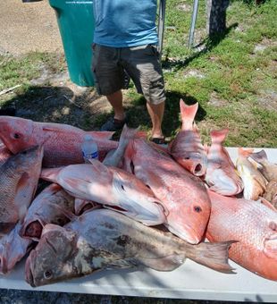 Massive red snapper and grouper haul