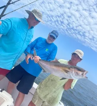 Reelin’ in memories