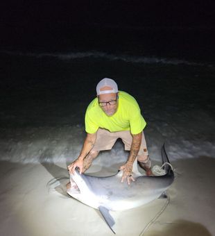 Beach Shark Fishing Navarre Florida