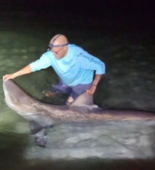 Navarre Beach Shark Fishing Guide