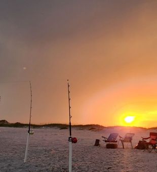 Shark Fishing Gulf Breeze Florida