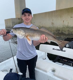 Red Drum in Orange Beach, AL