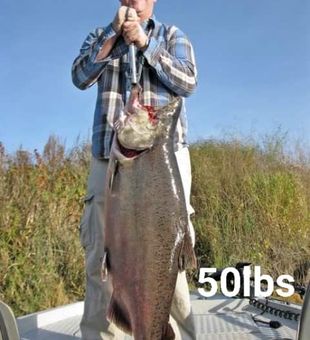 Sacramento Large Salmon Fishing