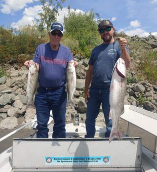 Sacramento Fishing for Stripers