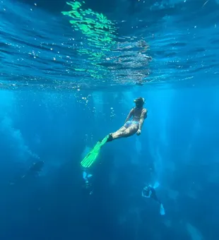 Reef tour in clear waters