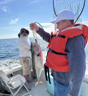 Massive bluefish catch offshore action