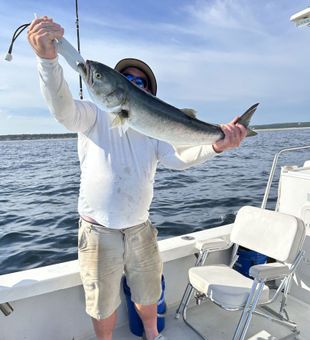 Powerful bluefish catch on saltwater charter