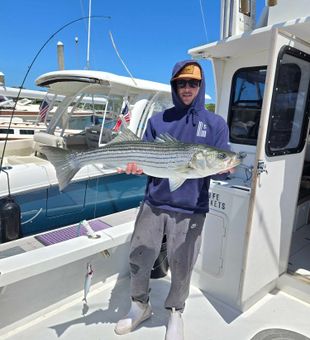 Cape Cod striped bass making the day complete!