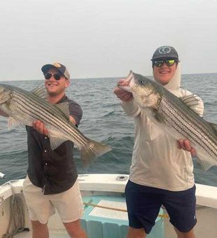 Double striped bass success in Cape Cod waters!