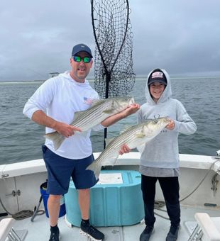 Solid striped bass catch offshore success