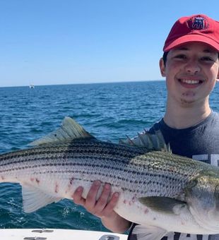 Big Cape Cod Stripers!