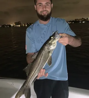 Lake Worth Fishing: Where Every Catch is a Story!