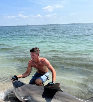 Bradenton Beach: Reel Fun and Sharks